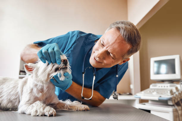 Best Emergency Tooth Extraction in Linton Hall, VA